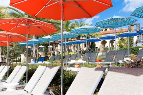 Resort Pool Chairs